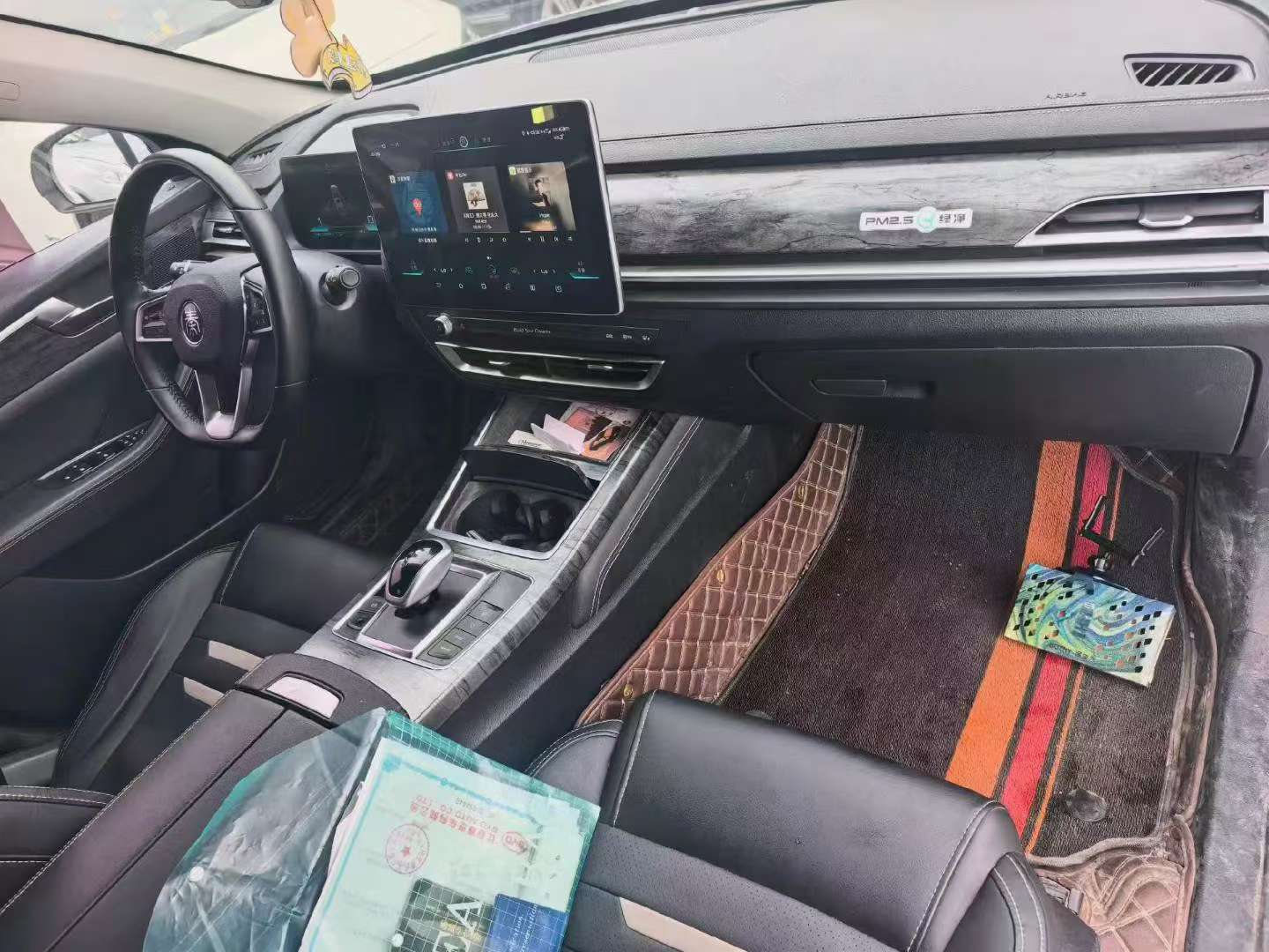 BYD Qin Pro EV500 2