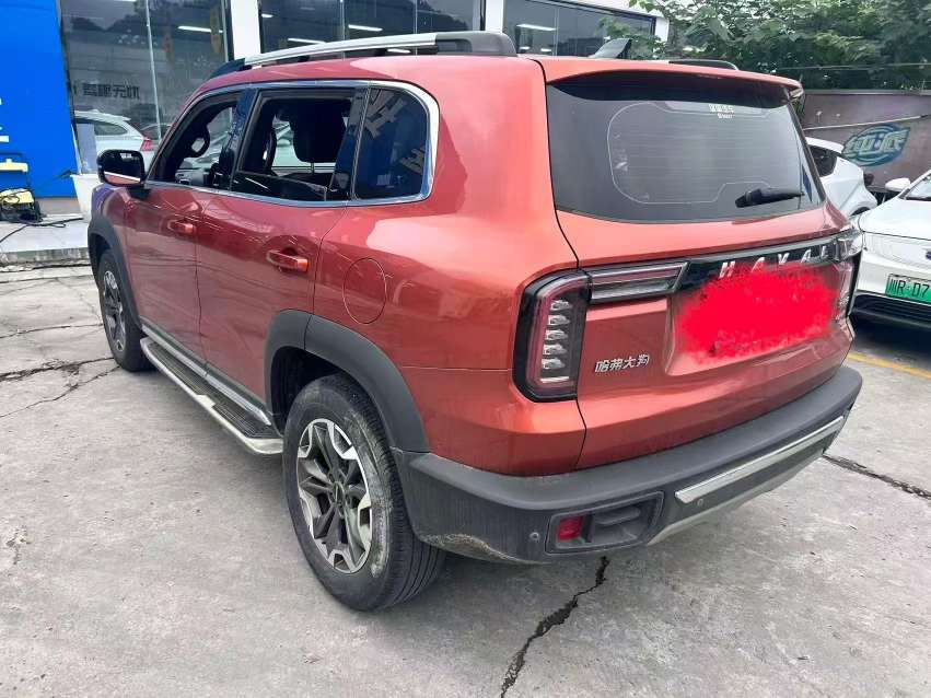 Haval Big Dog 2.0T 4WD Pastoral Dog 3