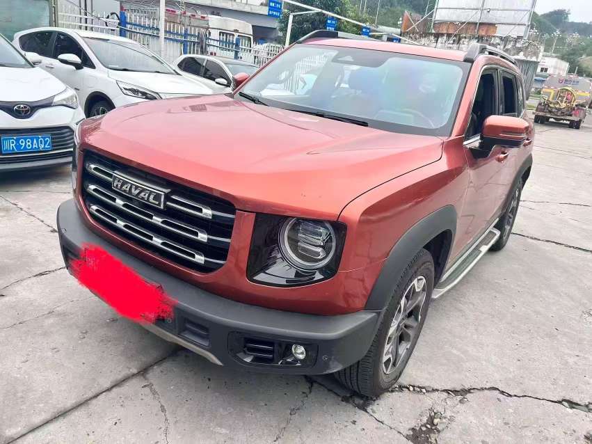 Haval Big Dog 2.0T 4WD Pastoral Dog 2