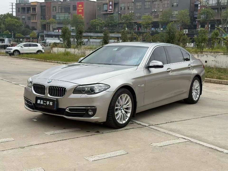 BMW 5 Series 2.0T Luxury Edition 3