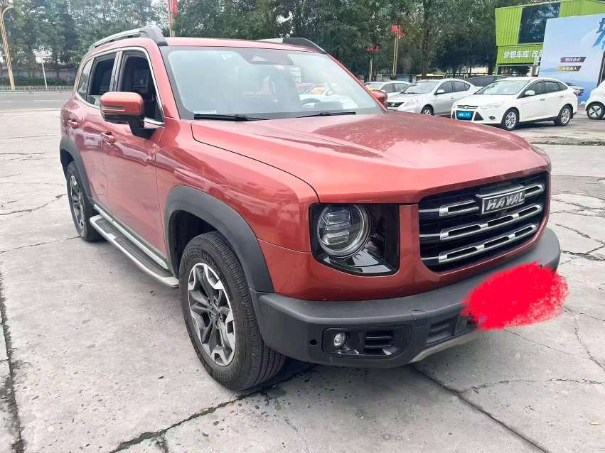 Haval Big Dog 2.0T 4WD Pastoral Dog