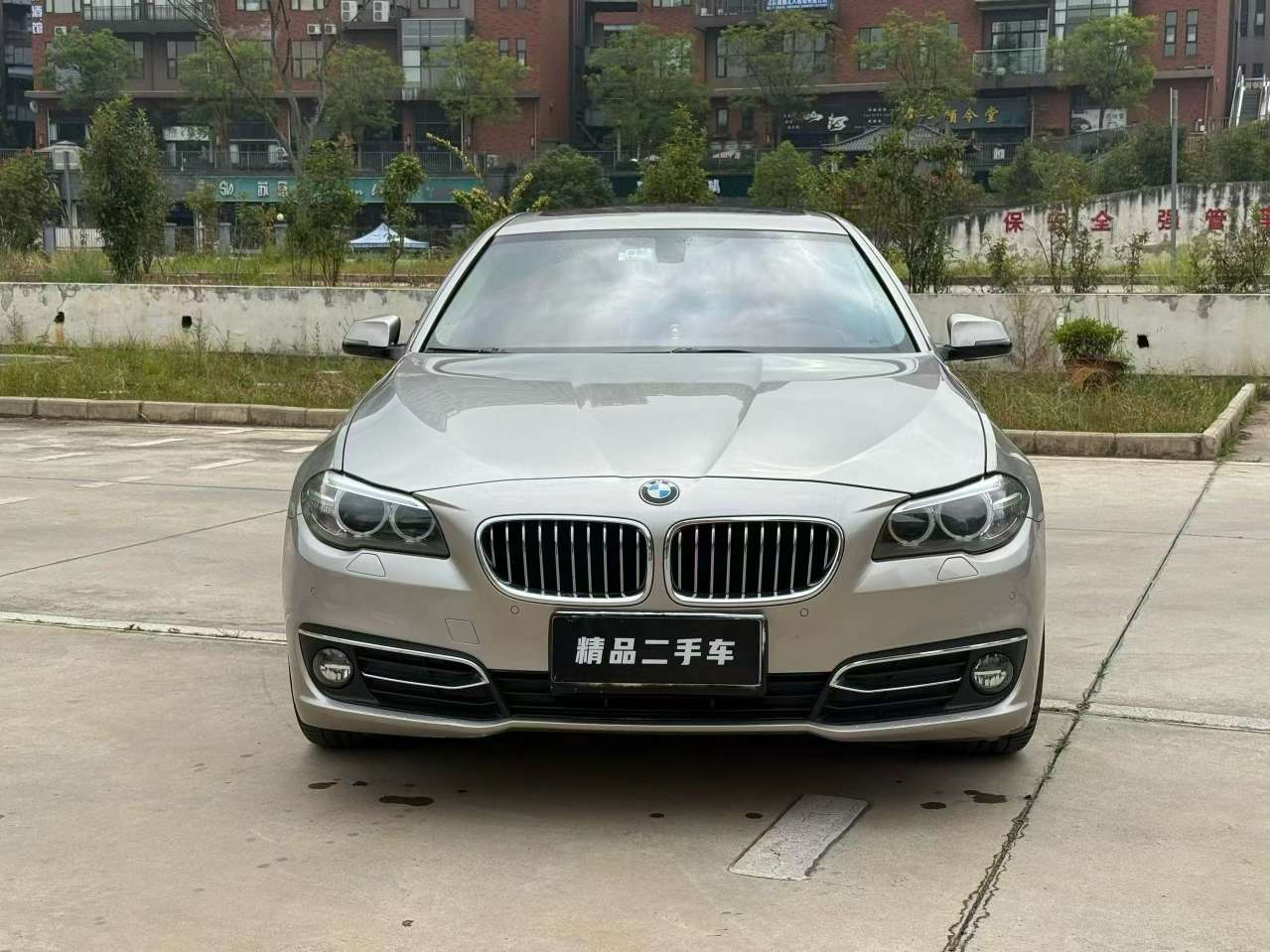 BMW 5 Series 525 Luxury 2