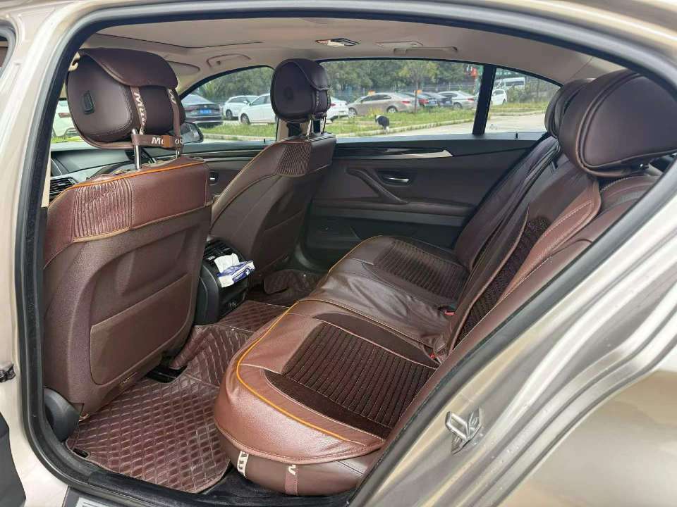BMW 5 Series 2.0T Luxury Edition 5