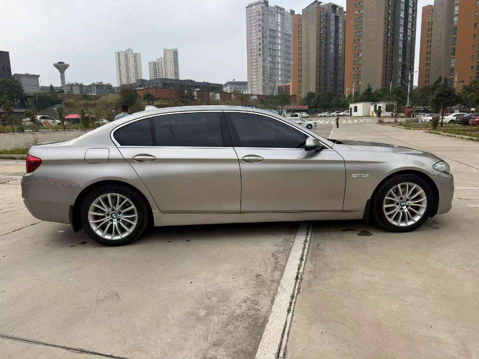 BMW 5 Series 2.0T Luxury Edition 8