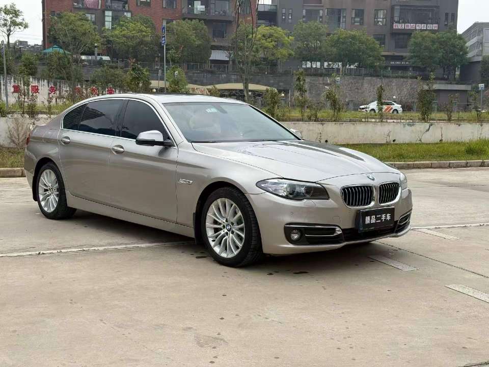 BMW 5 Series 2.0T Luxury Edition