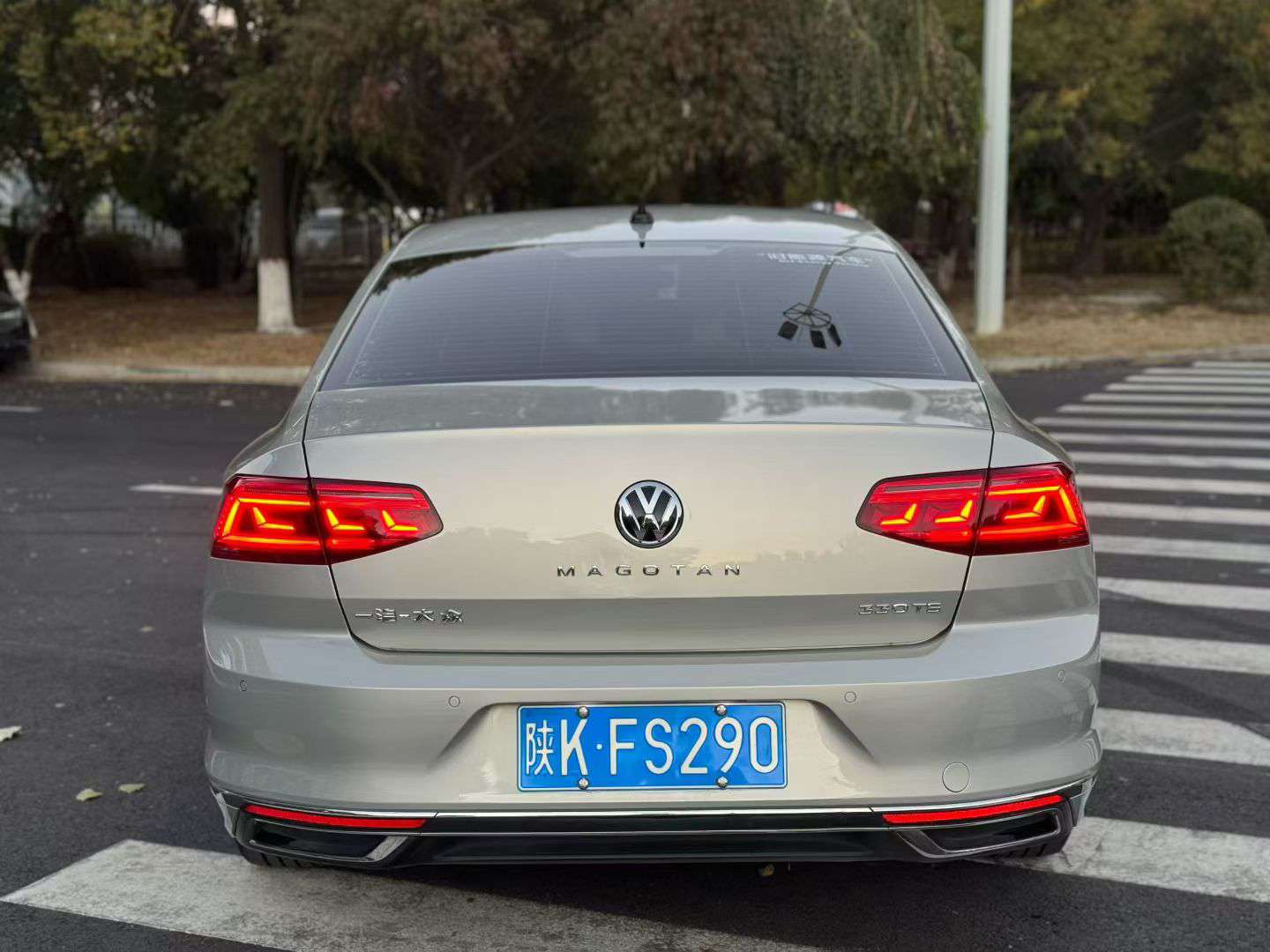 Volkswagen Magotan 2020 330 Luxury 2.0T High Spec 8