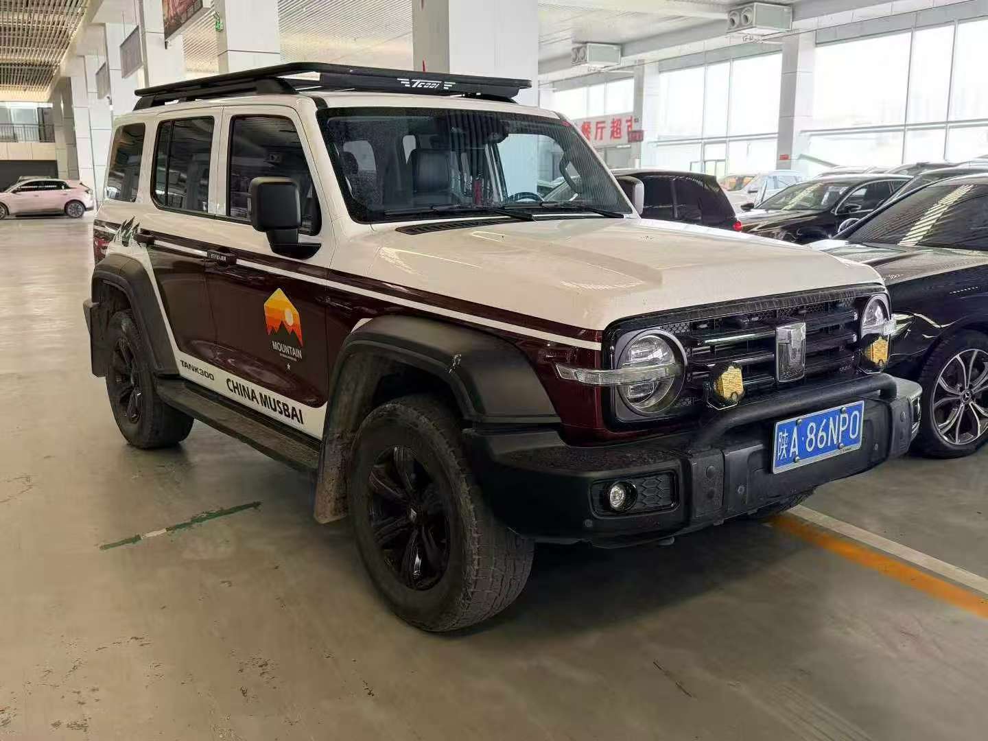 Tank 300 2022 Conqueror