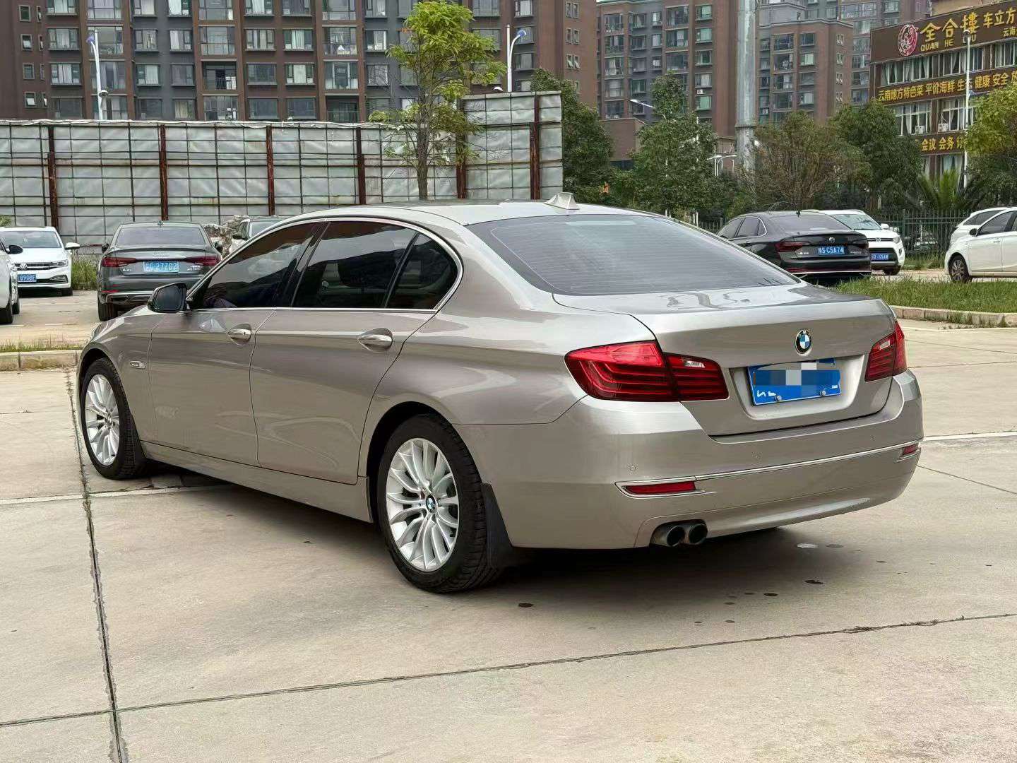 BMW 5 Series 2.0T Luxury Edition 7