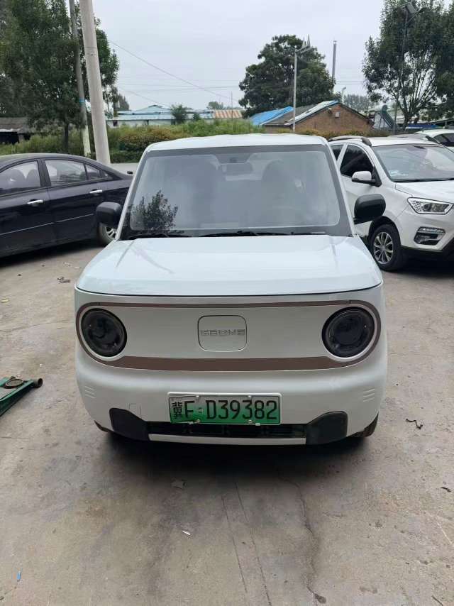 Geely Panda 4