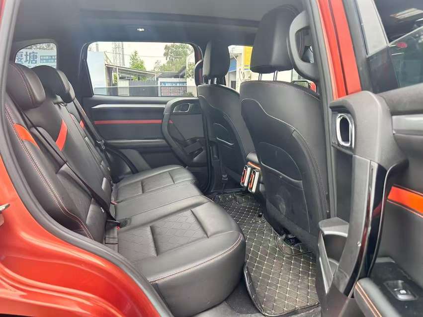 Haval Big Dog 2.0T 4WD Pastoral Dog 6