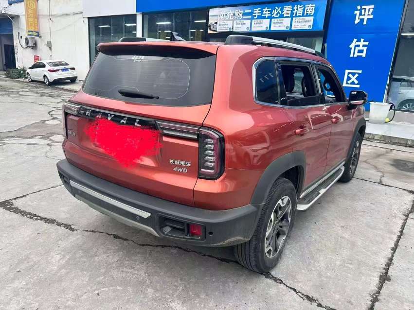 Haval Big Dog 2.0T 4WD Pastoral Dog 4