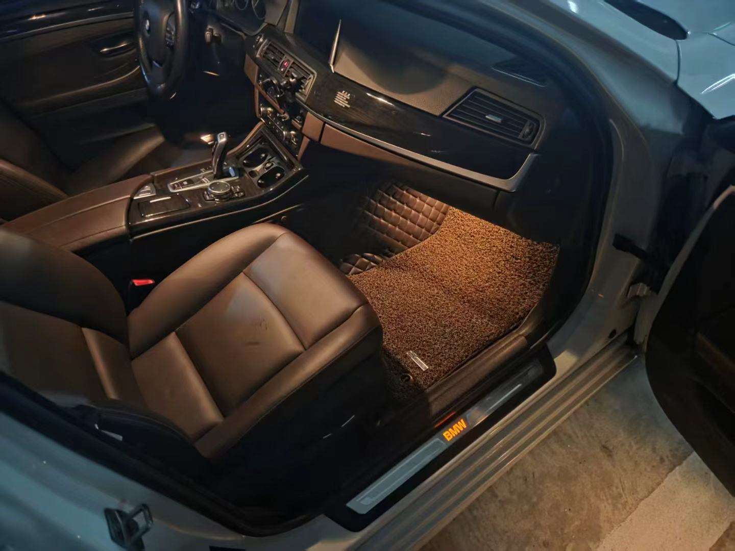 BMW 5 Series 2.0T Luxury Design Package 4