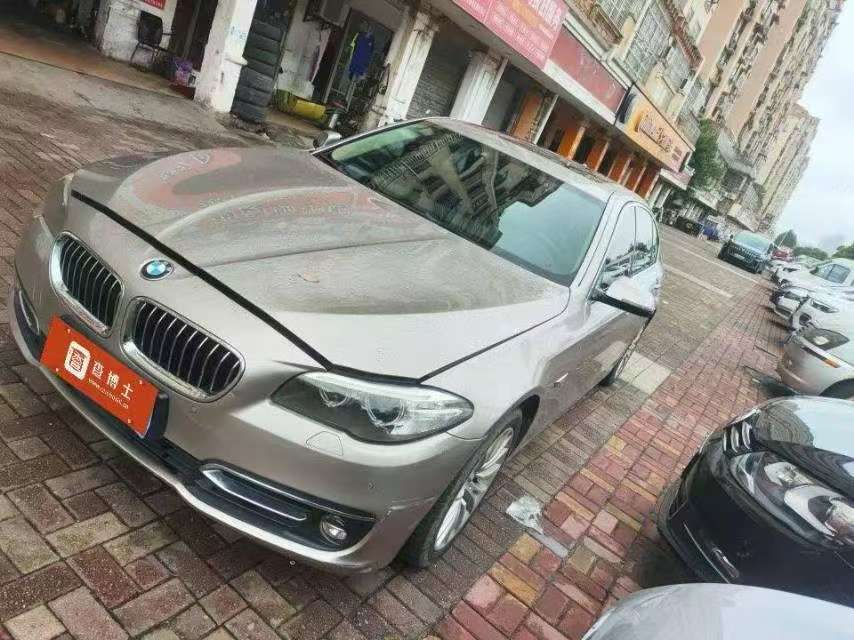 BMW 5 Series 525Li Luxury Design Package 2