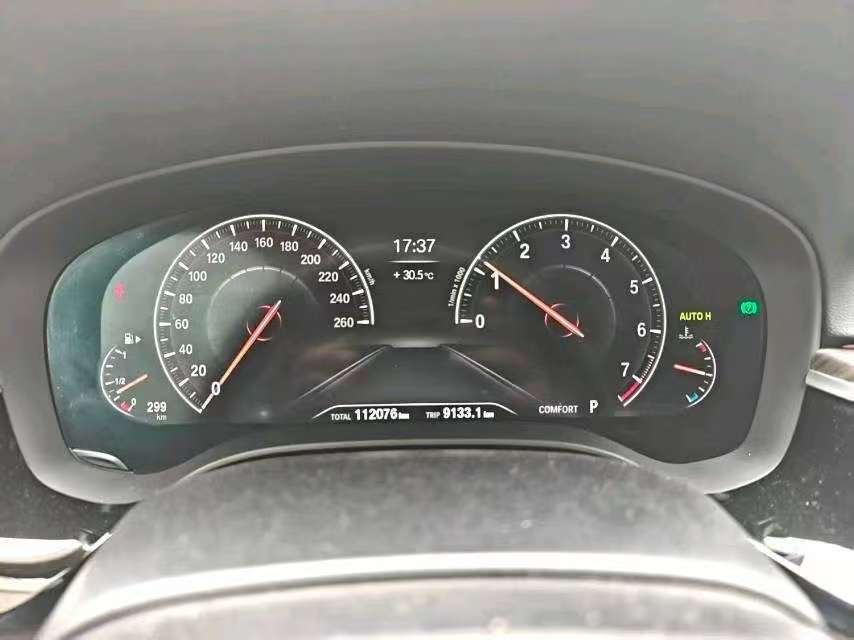 BMW 5 Series 2019 530Li 2.0T Luxury Package 5