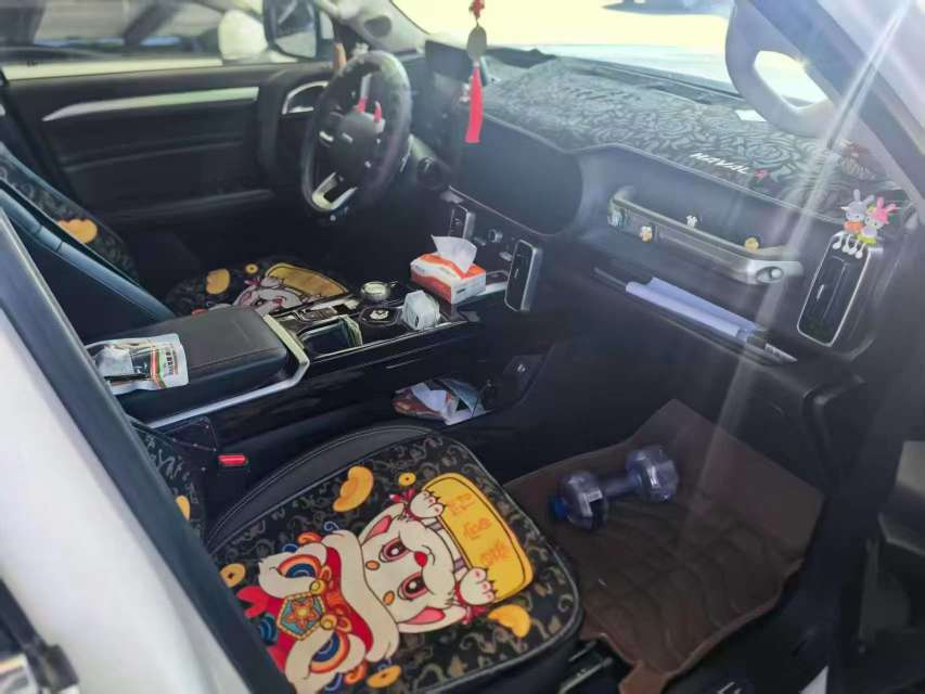 Haval Big Dog 6