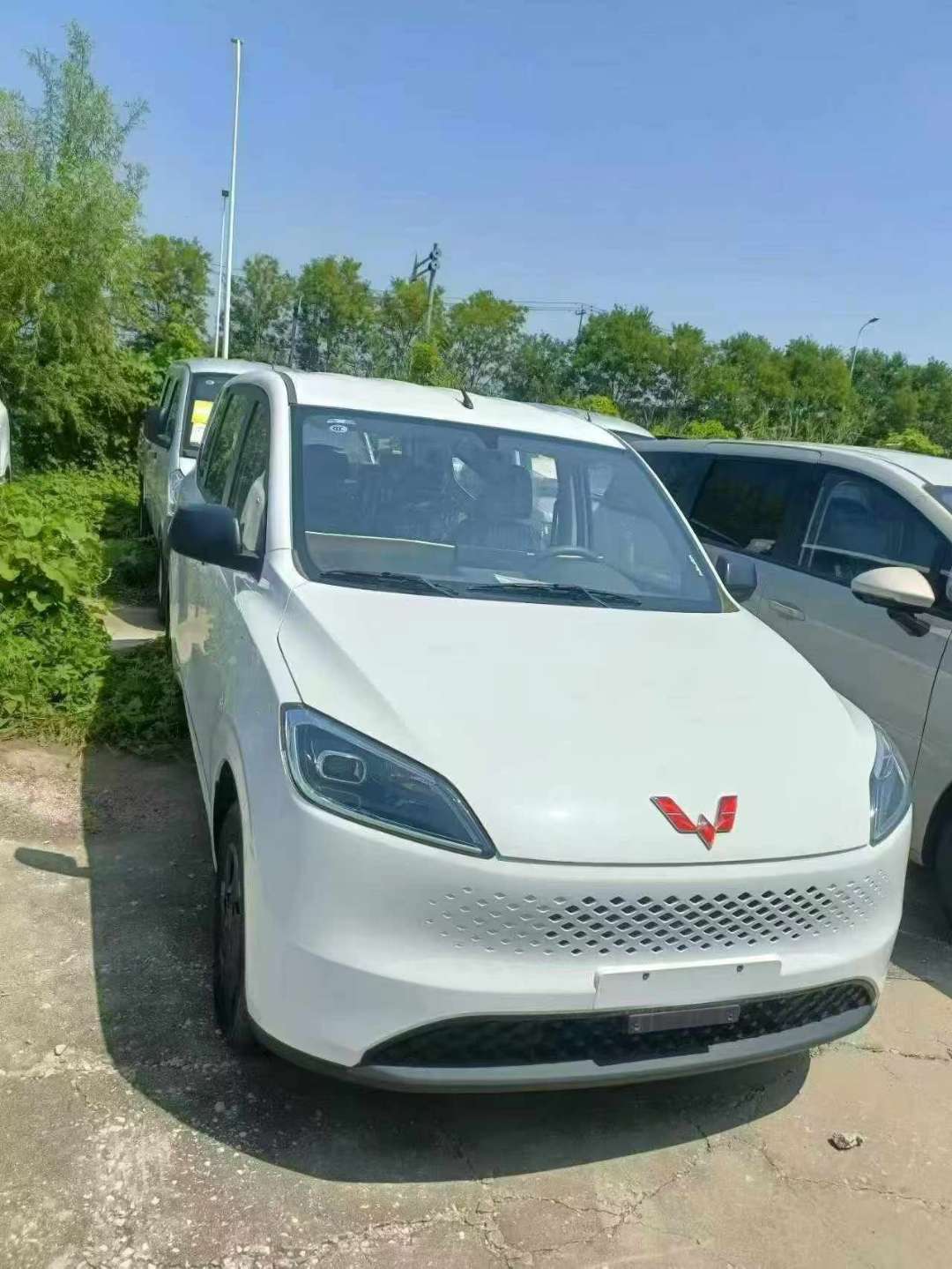 Wuling Hongguang Range-extended Electric 50km Comfort 7-seater Passenger Van