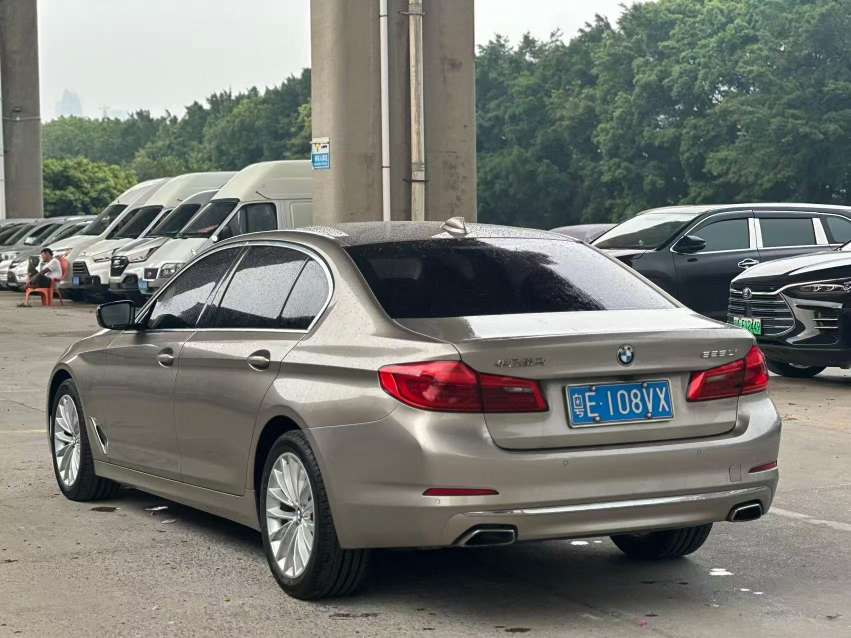 BMW 5 Series 2.0T Luxury Design Package 3