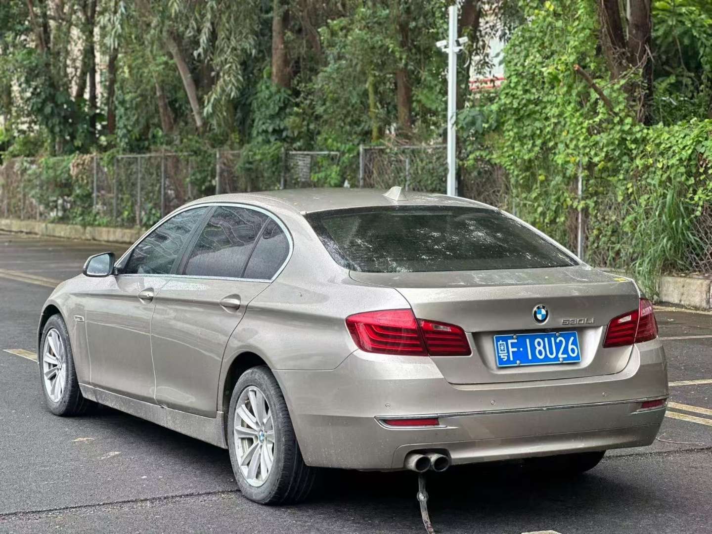BMW 5 Series 2.0T Elegant Edition 4