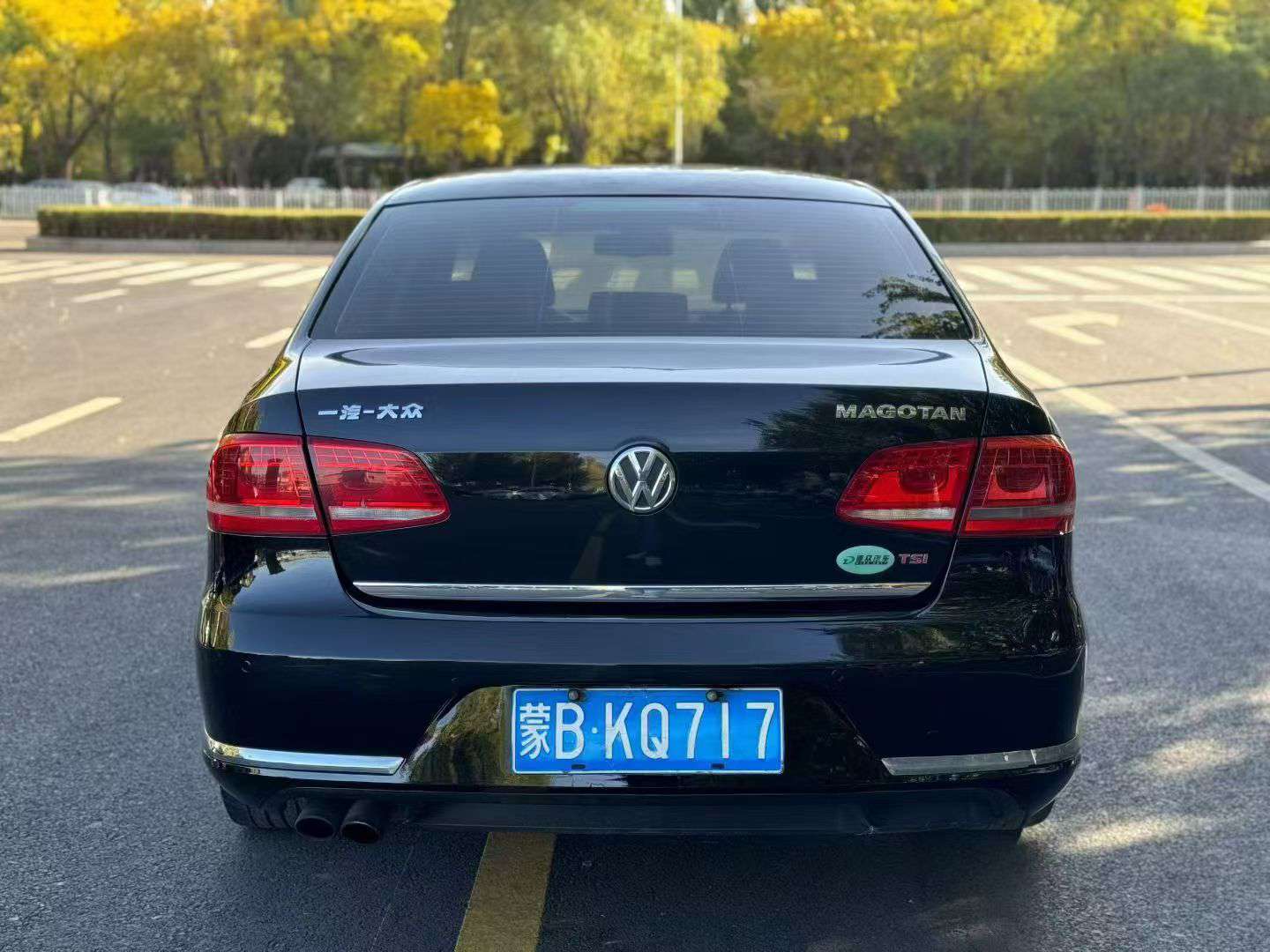 Volkswagen Magotan 2012 2.0T High Trim 8