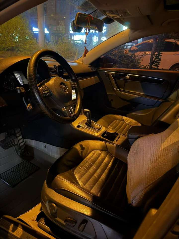 Volkswagen Magotan 1.8T Luxury 2