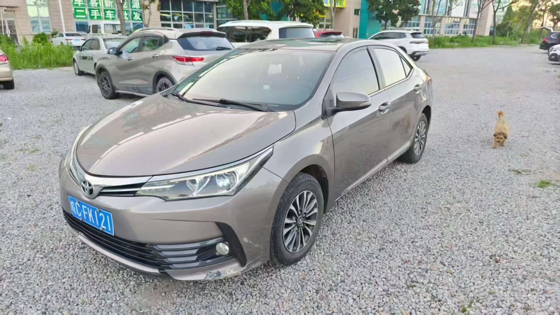 Toyota Corolla 1.2T Automatic 3
