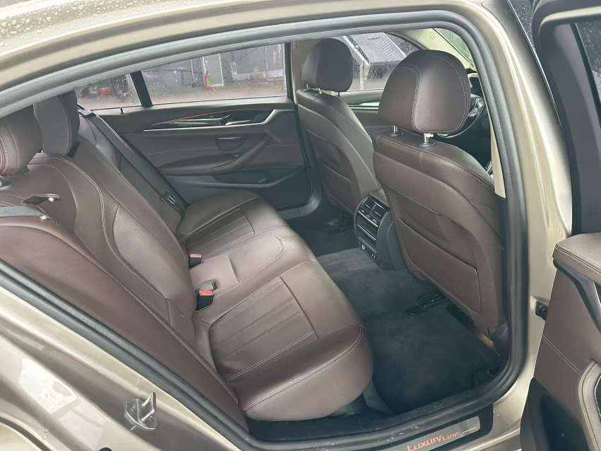 BMW 5 Series 2.0T Luxury Design Package 8