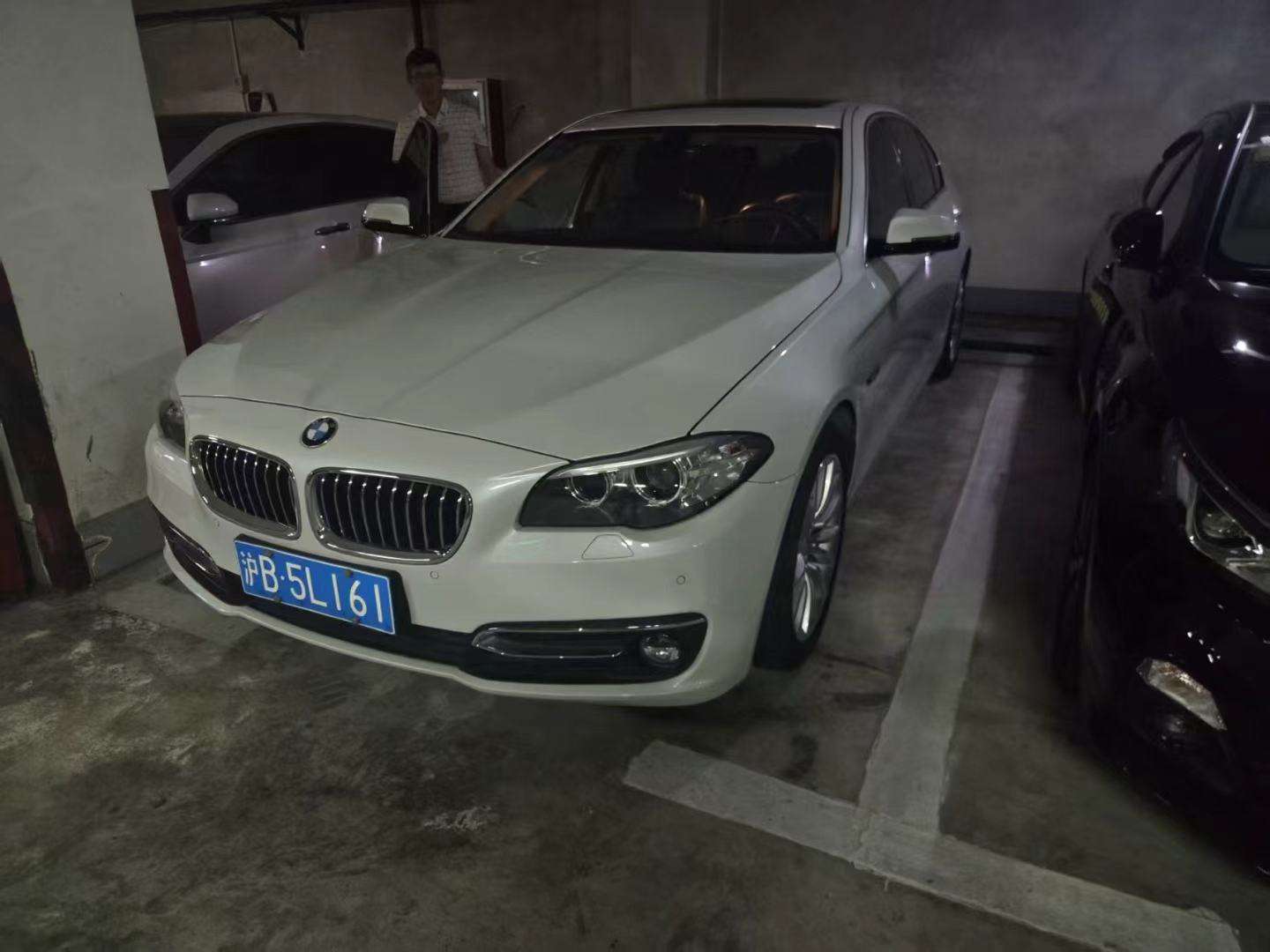 BMW 5 Series 2.0T Luxury Design Package