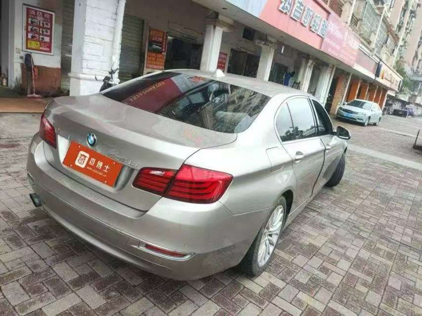 BMW 5 Series 525Li Luxury Design Package 4