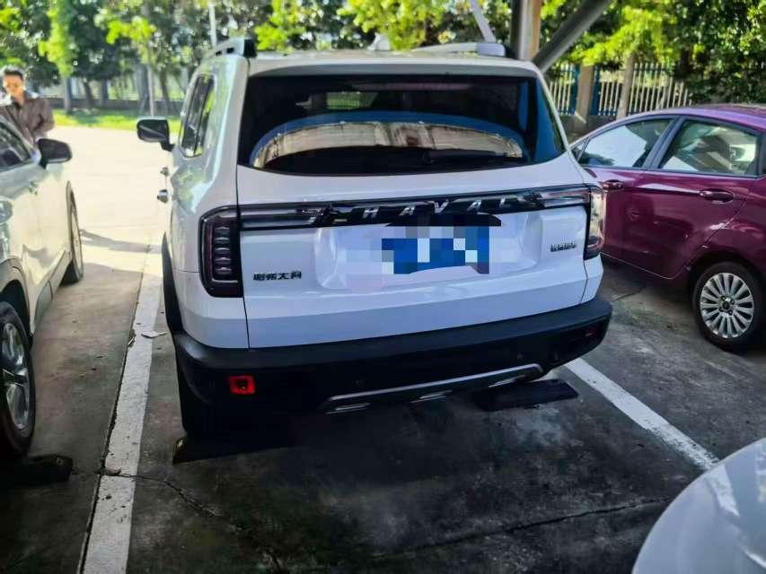 Haval Big Dog 5