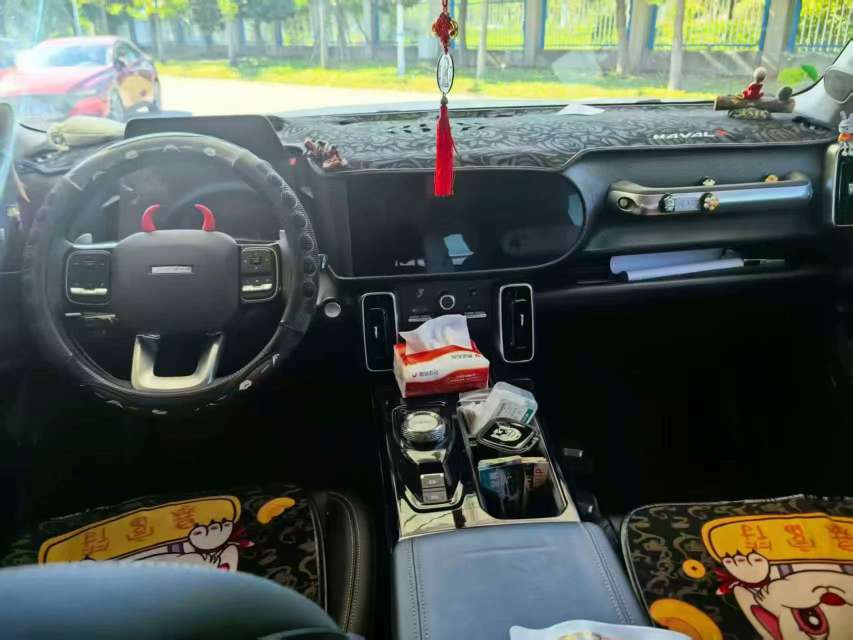 Haval Big Dog 2