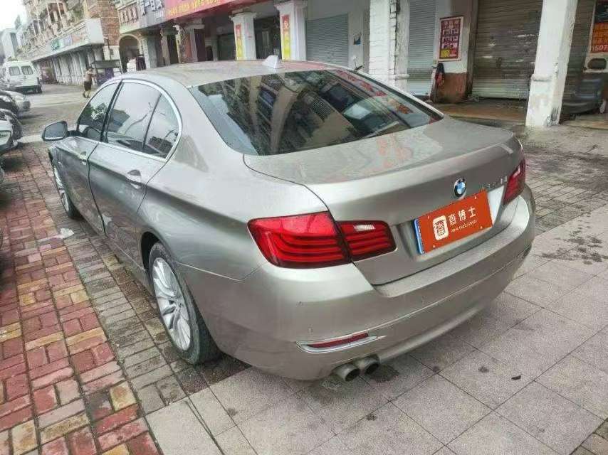 BMW 5 Series 525Li Luxury Design Package 3
