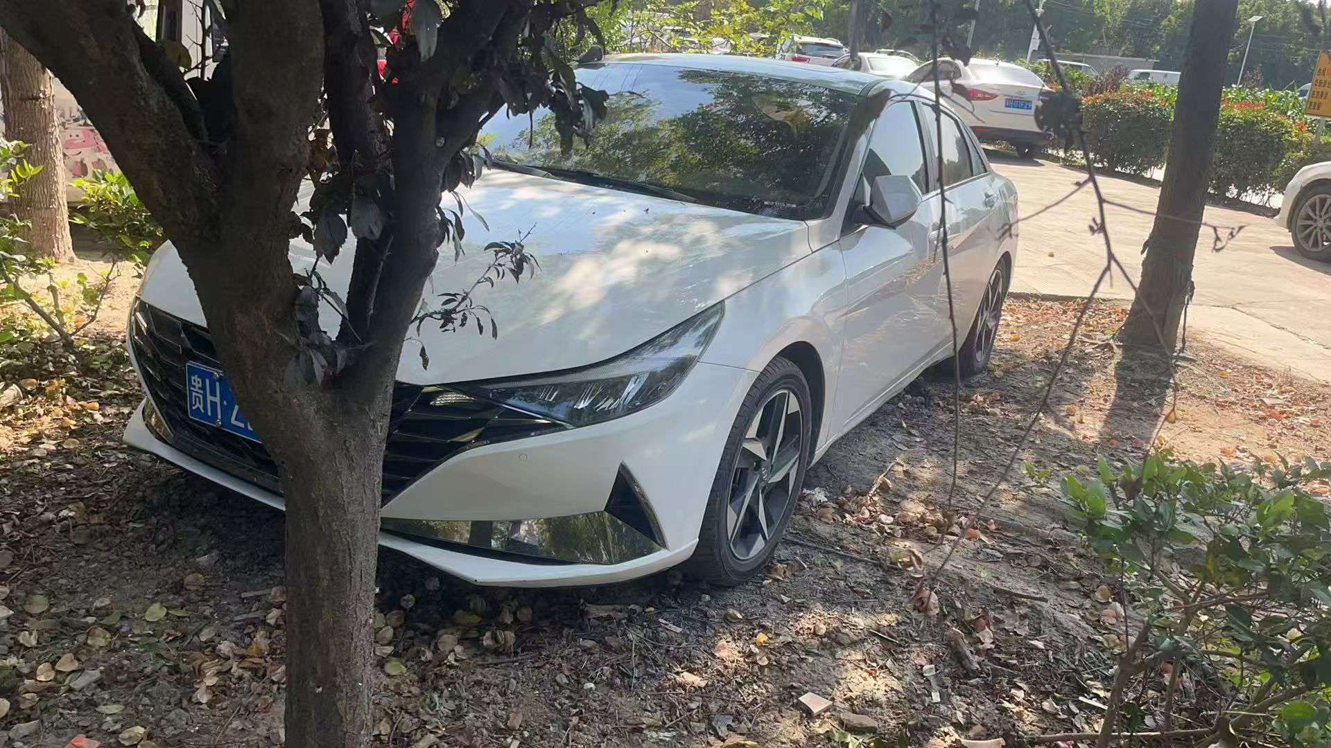 Hyundai Elantra 1.5T 5