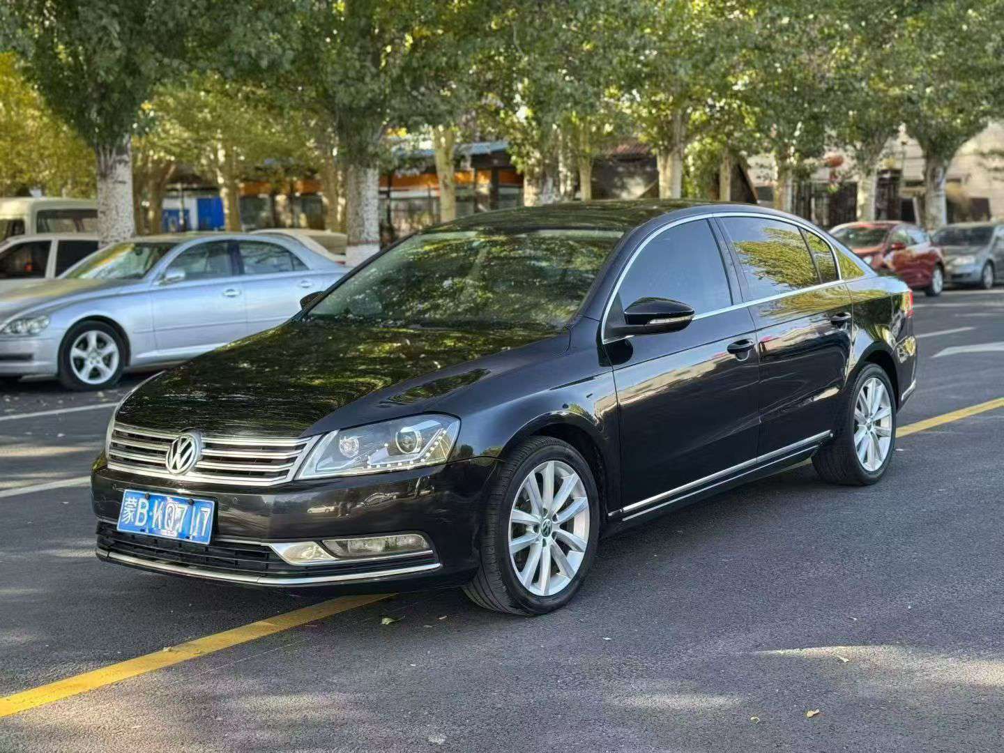 Volkswagen Magotan 2012 2.0T High Trim 3