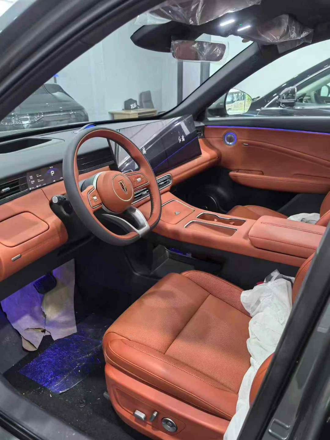 Hongqi HS6 220 AWD Intelligent Hybrid 3