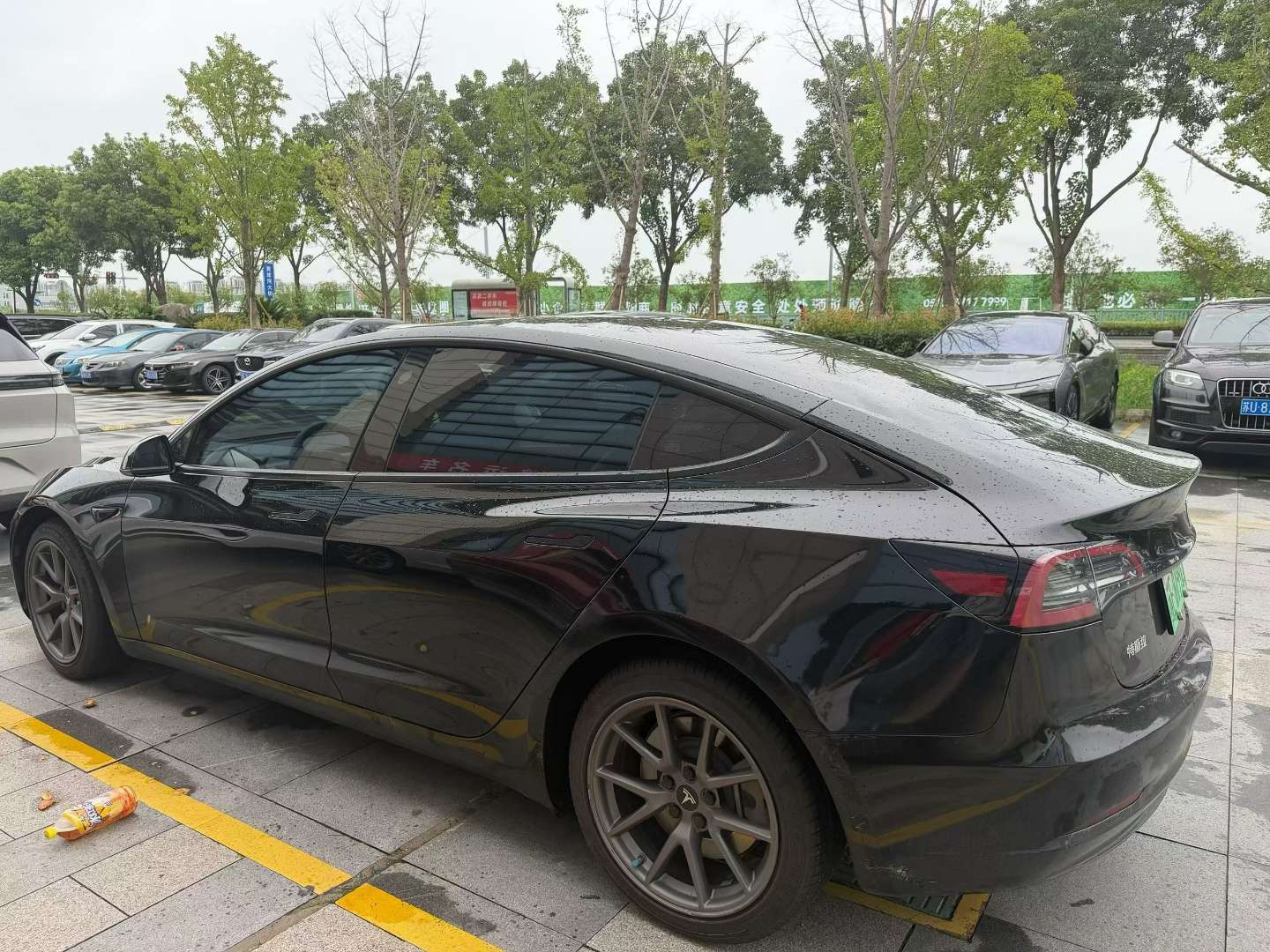 Tesla Model 3 5