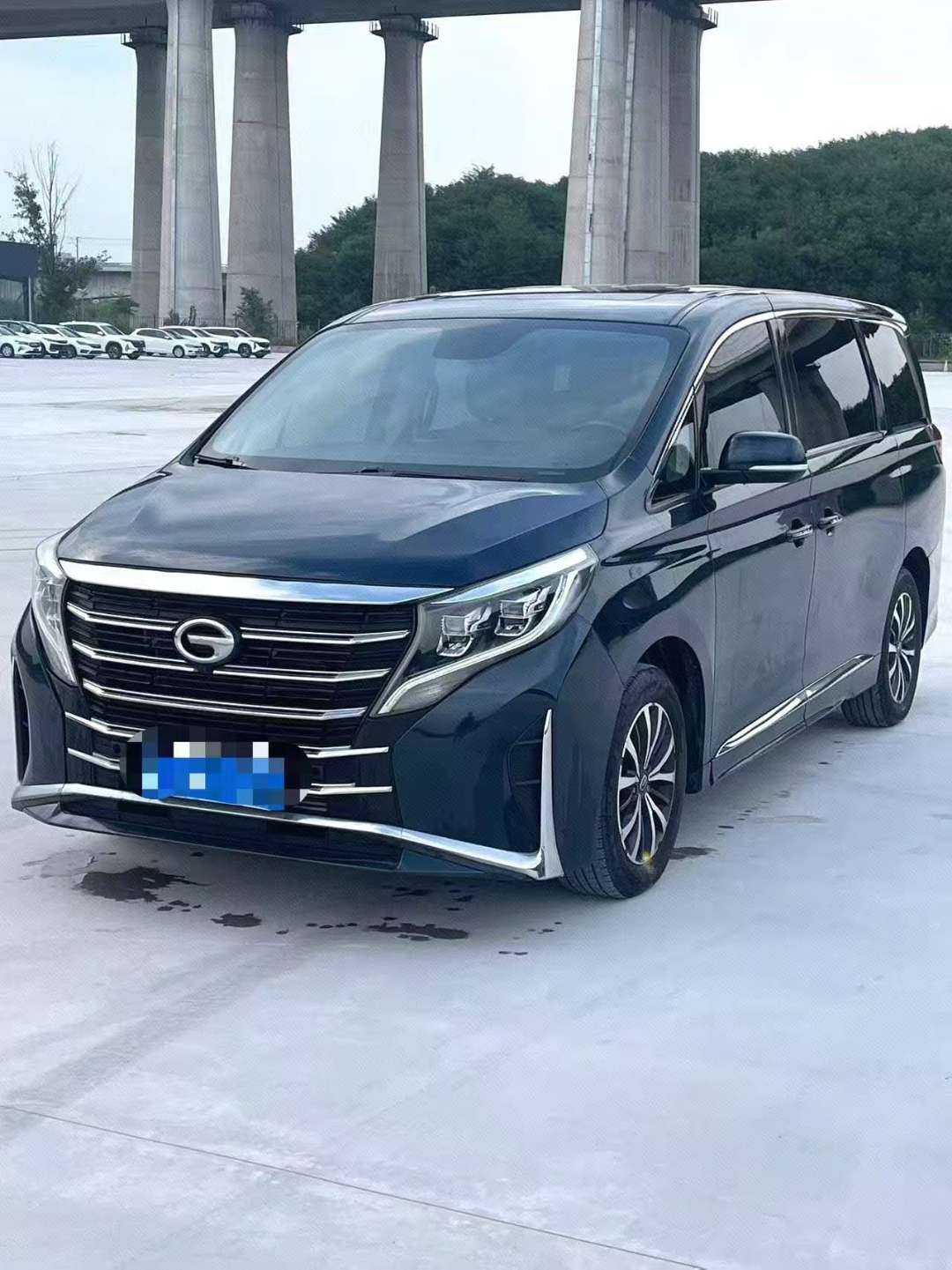 GAC Trumpchi M8 Lingxiu Series 390T Prestige Accessibility Edition