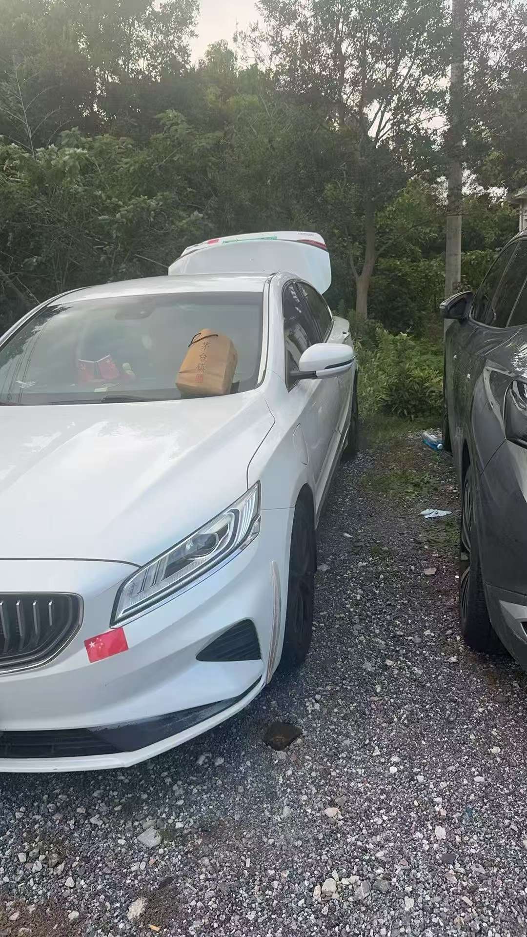 Geely Borui 1.5T ePro Lingyao Edition 2