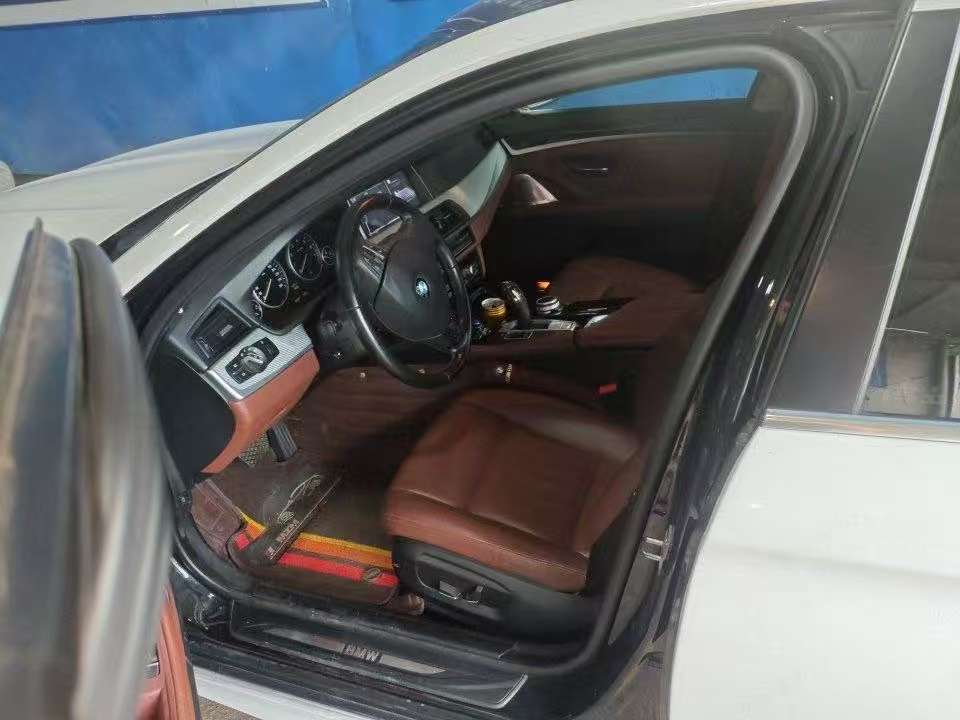 BMW 5 Series 520i Elegant 5