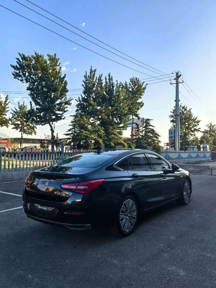 Hongqi H5 1.5T Automatic High Configuration 6