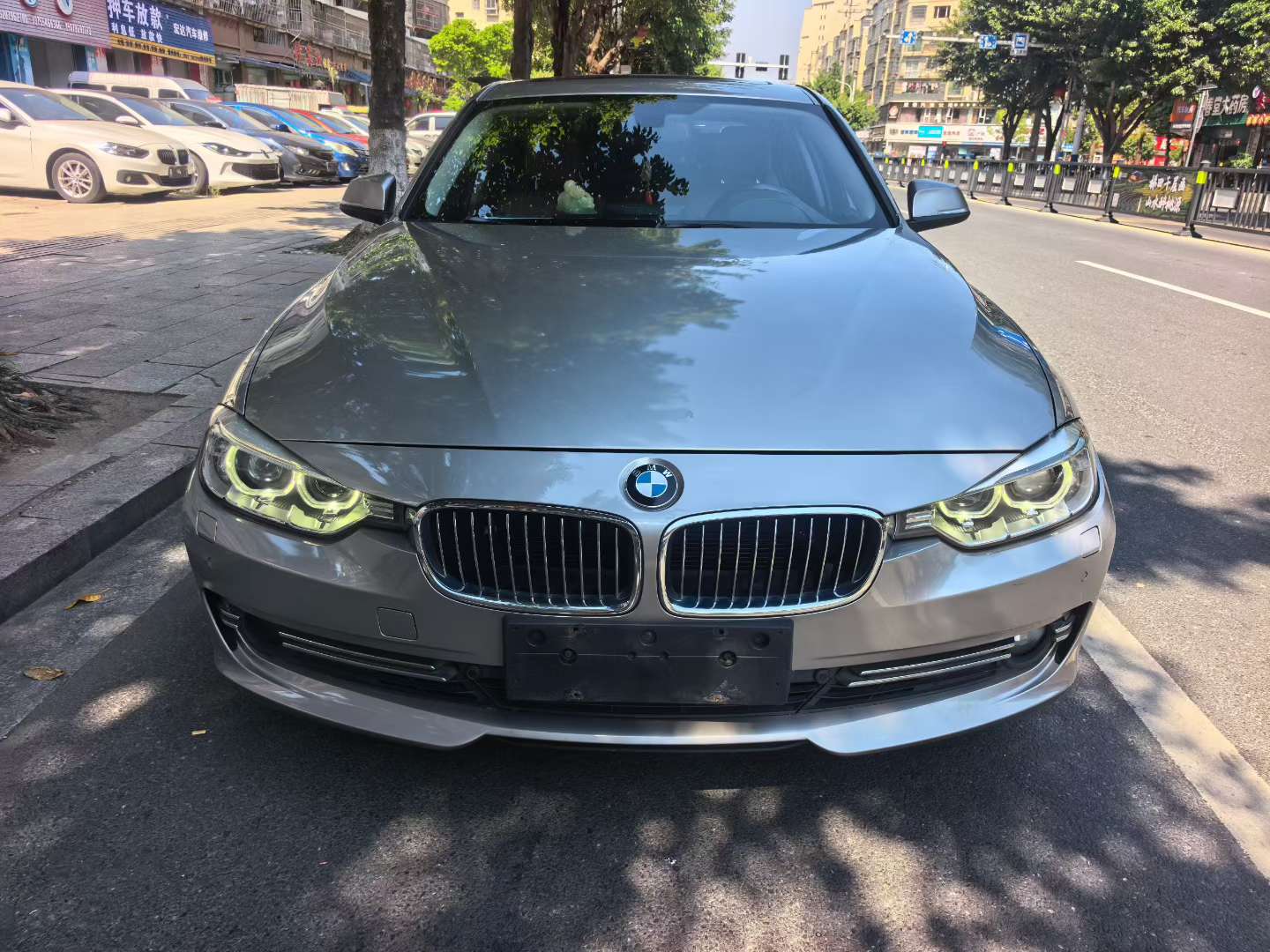 BMW 3 Series 320Li