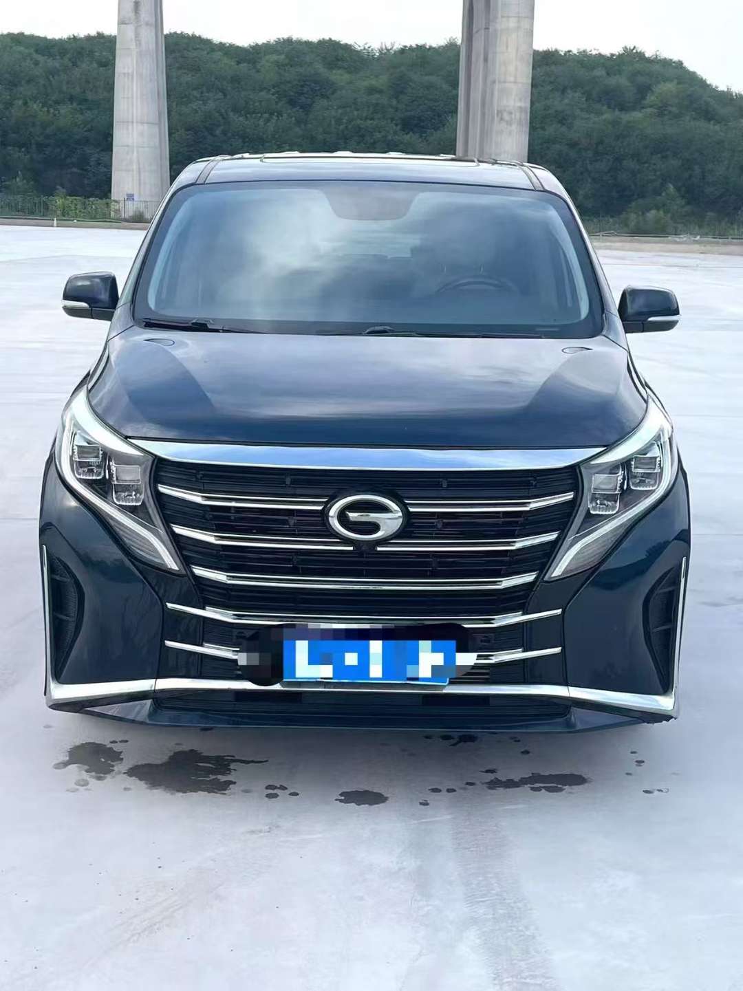 GAC Trumpchi M8 Lingxiu Series 390T Prestige Accessibility Edition 2