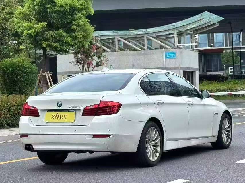BMW 5 Series 525Li 2.0T Luxury Design Package 3