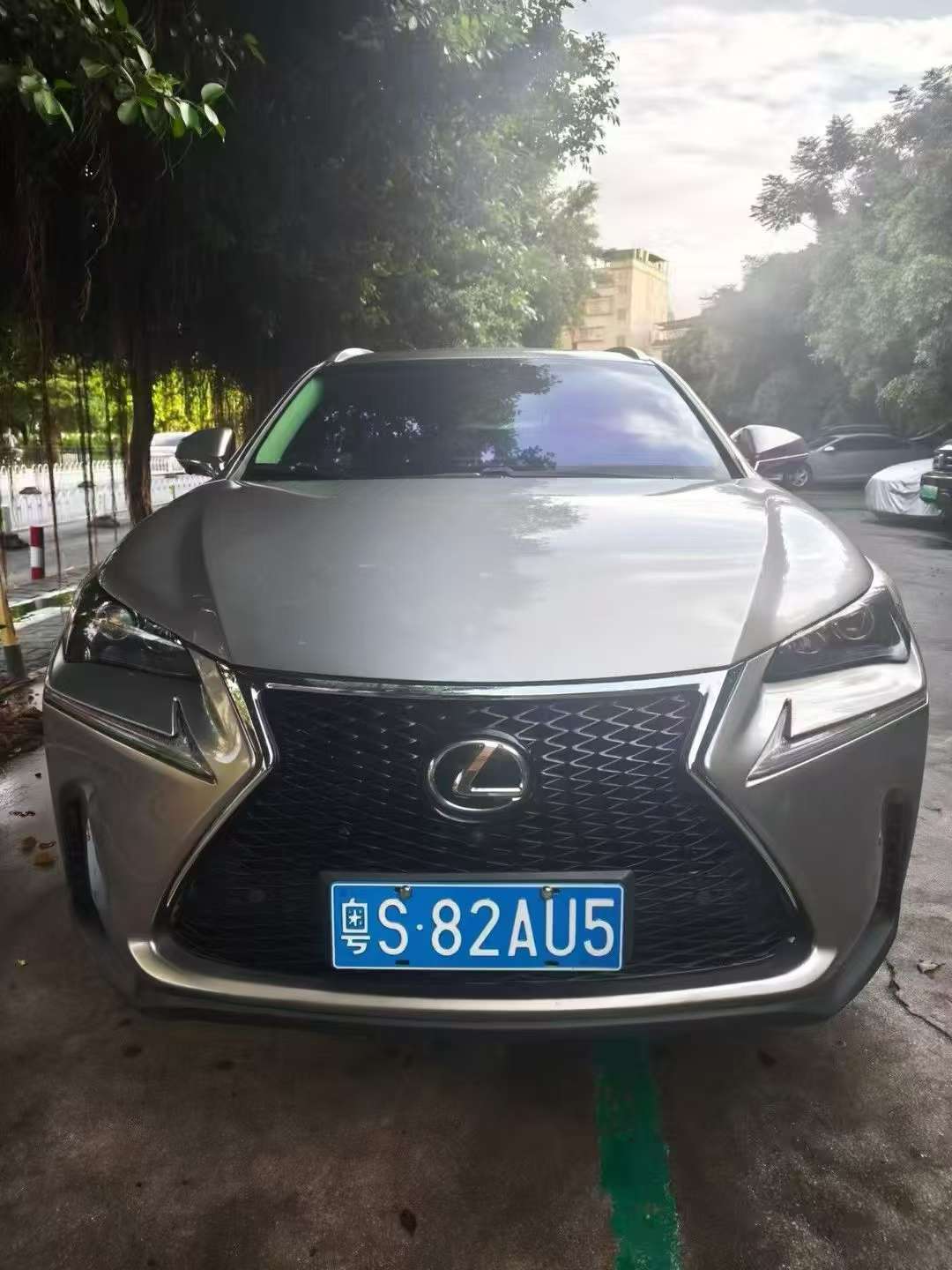 Lexus NX NX200 Elite Edition