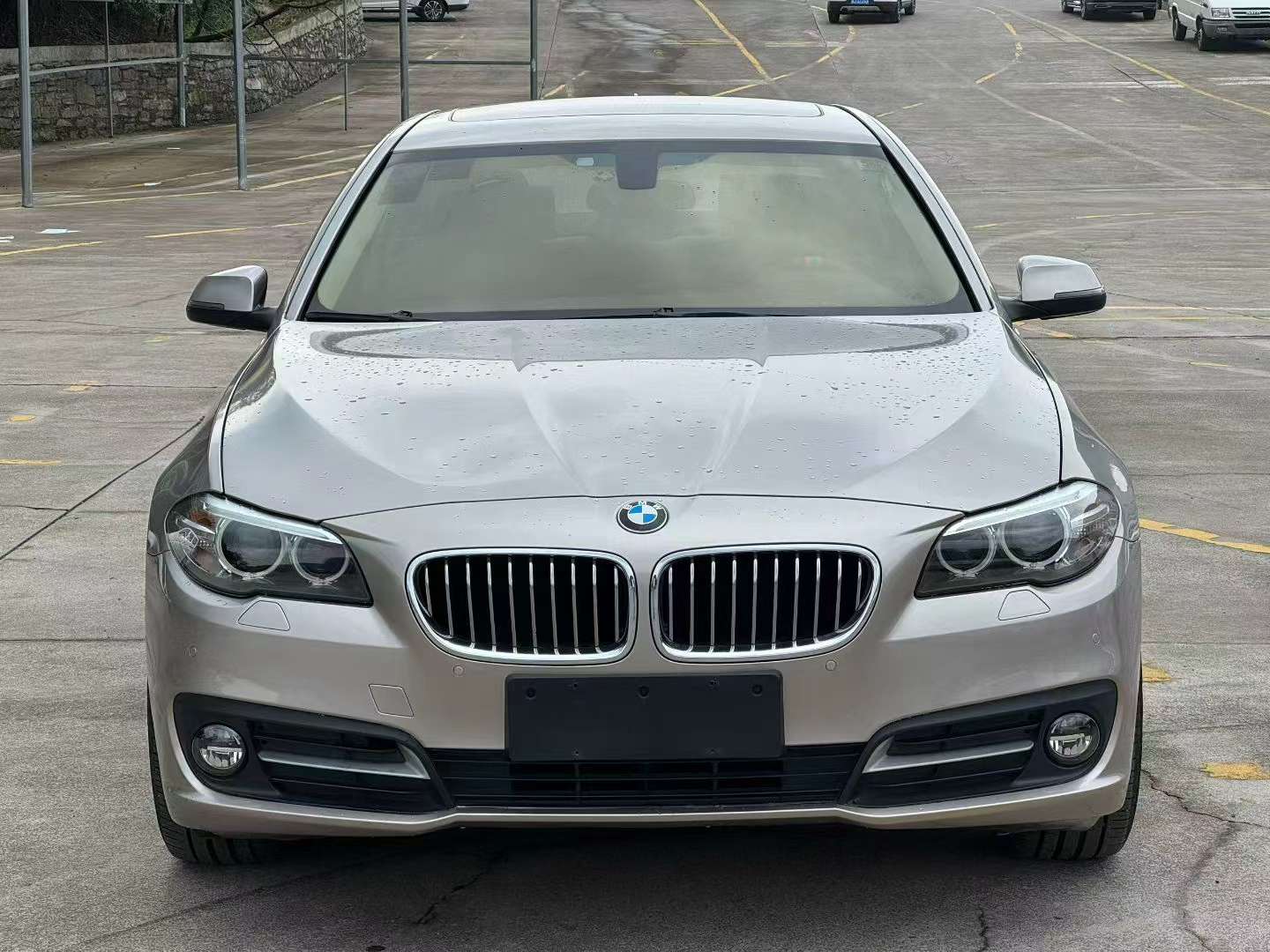 BMW 5 Series 528Li 2