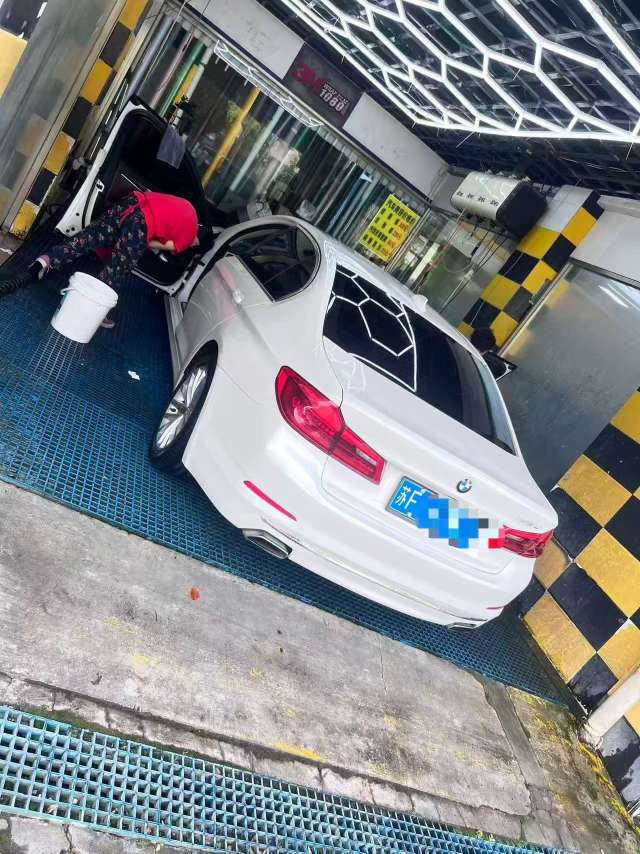 BMW 5 Series 2.0L Luxury Line 2