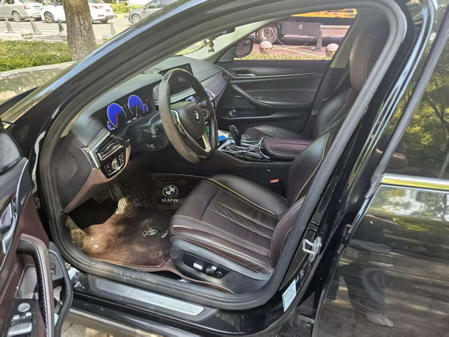 BMW 5 Series 2019 530Li Leading Luxury 2