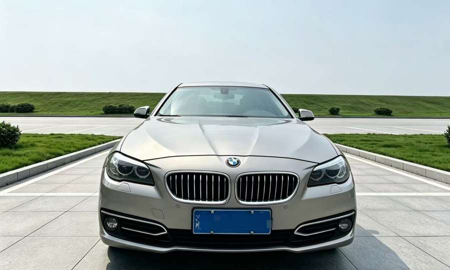 BMW 5 Series 2014 525Li Luxury Design Package 2.0T