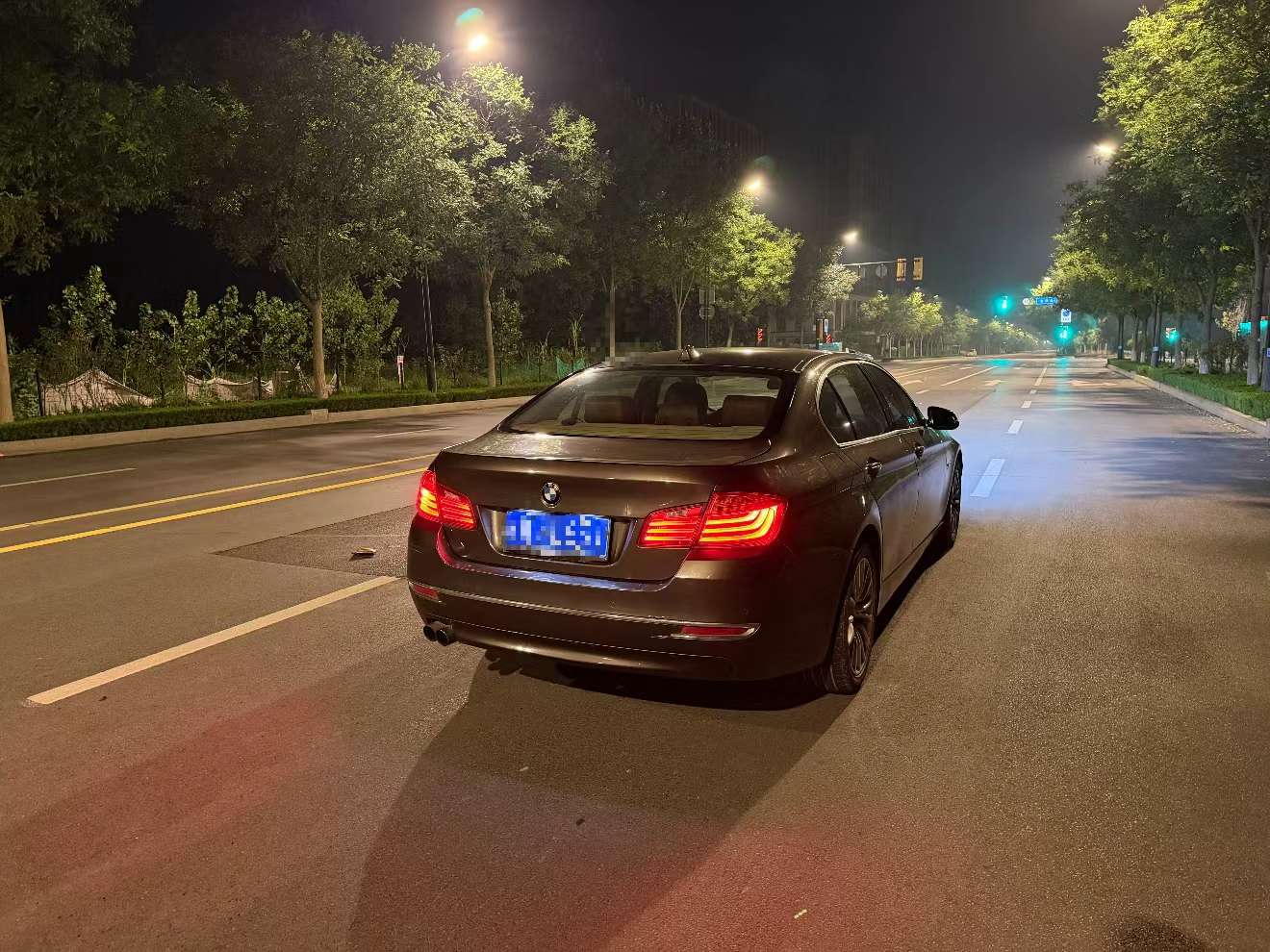BMW 5 Series 2014 525Li Luxury 4