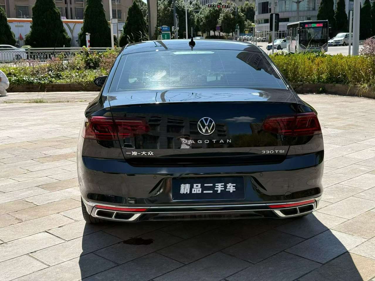 Volkswagen Magotan 2.0T Luxury Edition 8