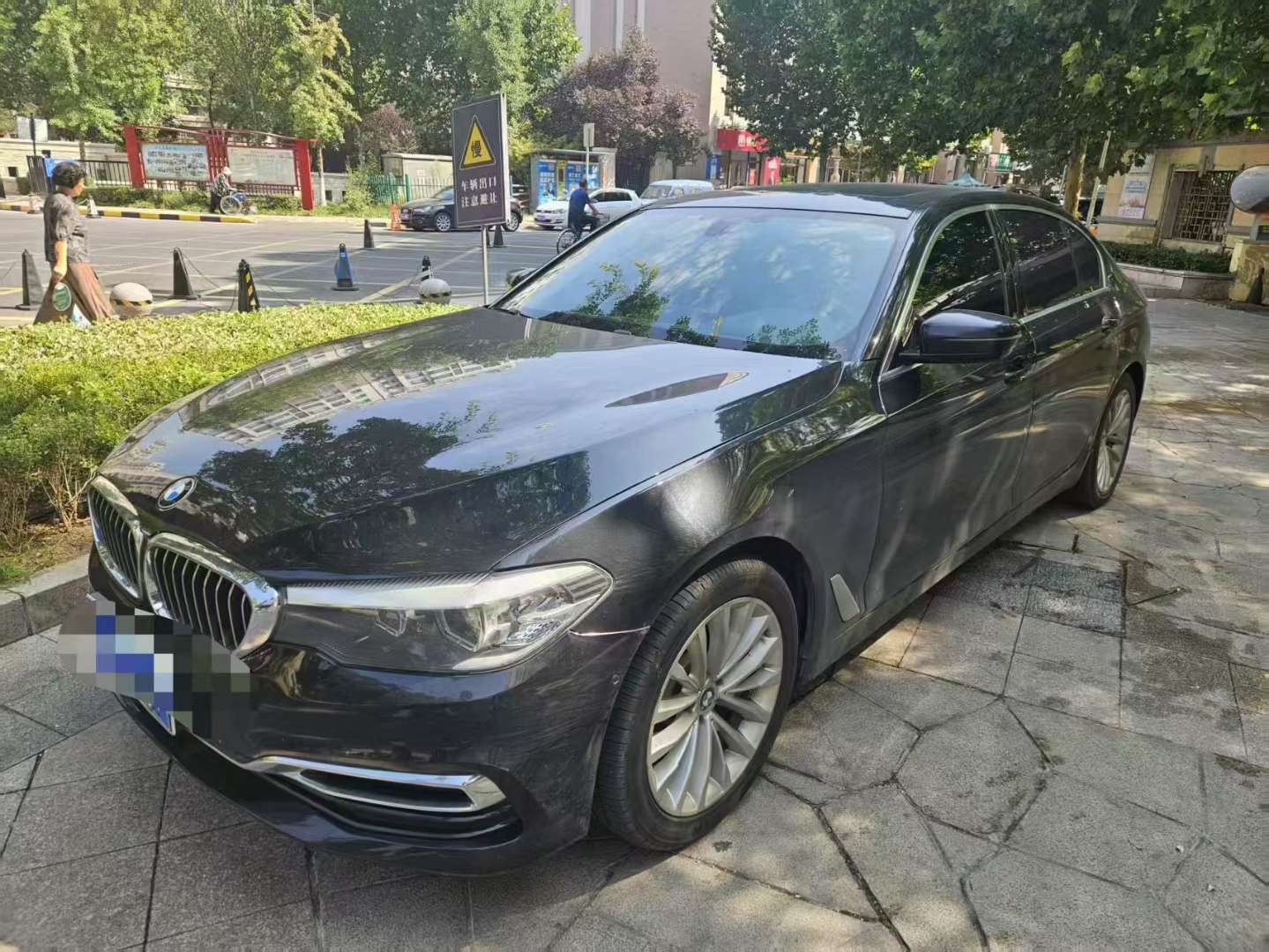 BMW 5 Series 2019 530Li Leading Luxury